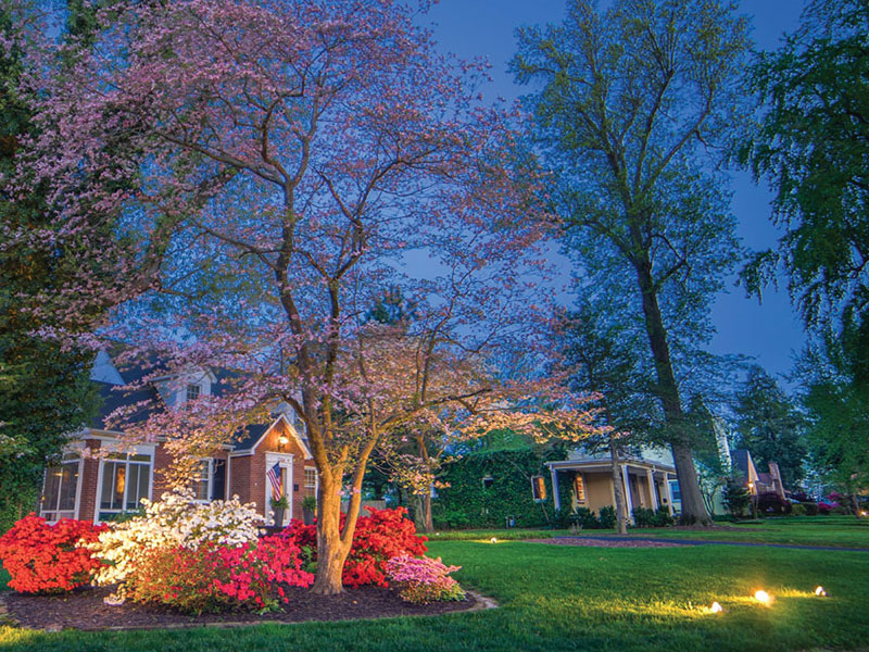 Paducah Photography